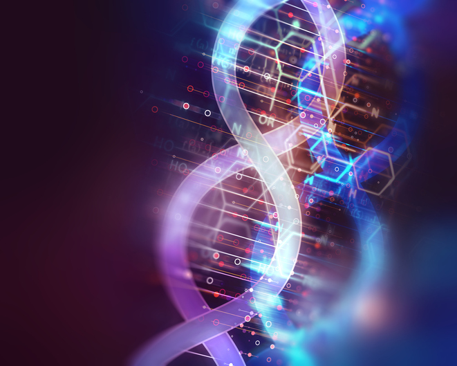 DNA, The future of data storage: From digital to biological